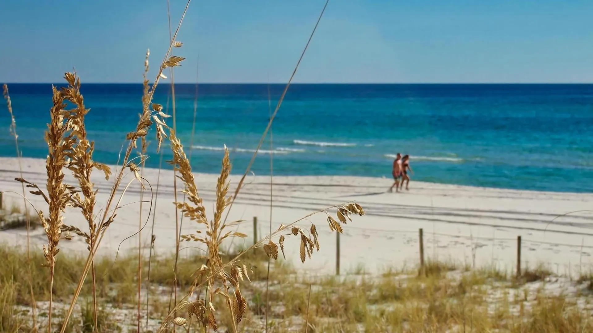Ocean Reef 1401 Βίλα Panama City Beach Ηνωμένες Πολιτείες της Αμερικής